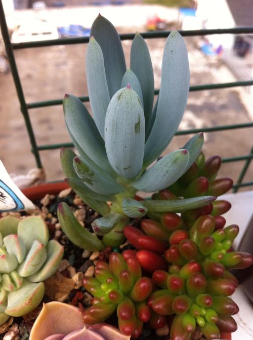 È«ÇòIPOÈÚ×ʶî½Ó½üÀúÊ·¸ßλ Êг¡µ£ÓǹÉÊÐÅÝÄ