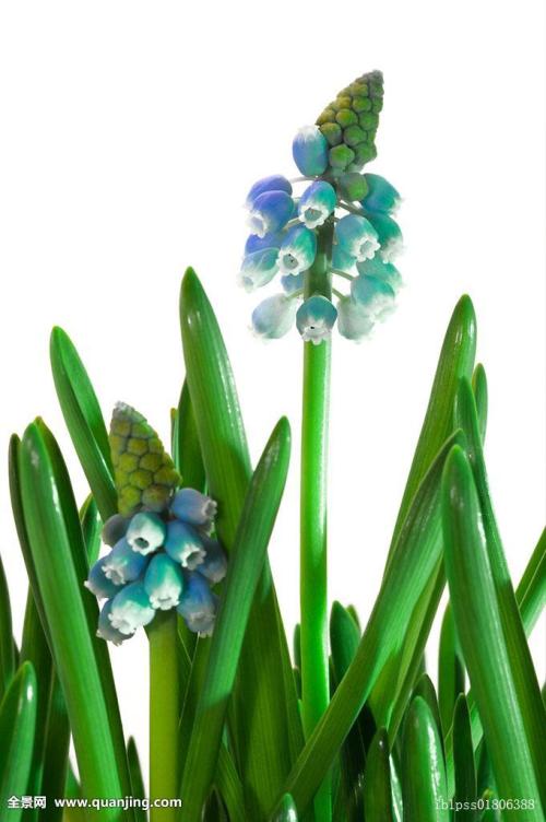 ÉêÇëÃ÷Äê±±¾©Ð¡¿Í³µÖ¸±êû±ØÒªÔú¶Ñ É걨ÆÚÓÐ67Ìì