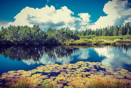 ޵ǵ1 ڹ˹Ǻ˵վݹر