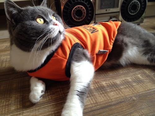 óٻٰڶ조걭 ҵ20֧Ӳ